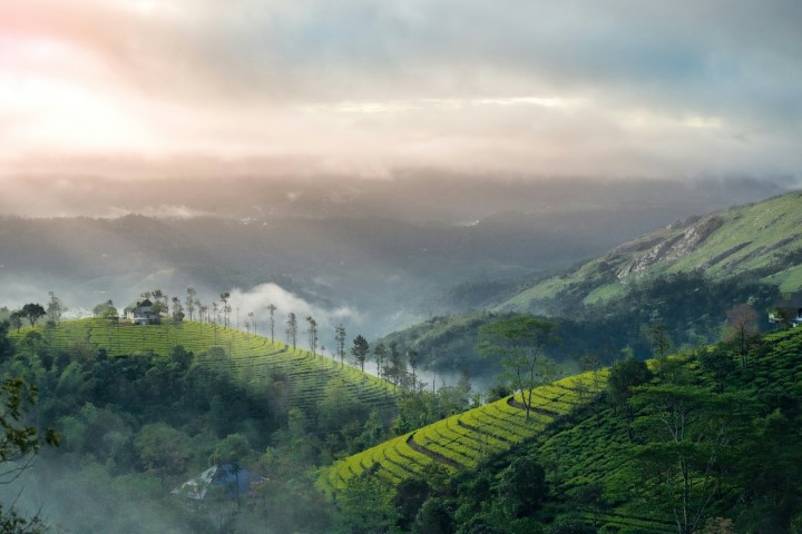 Munnar