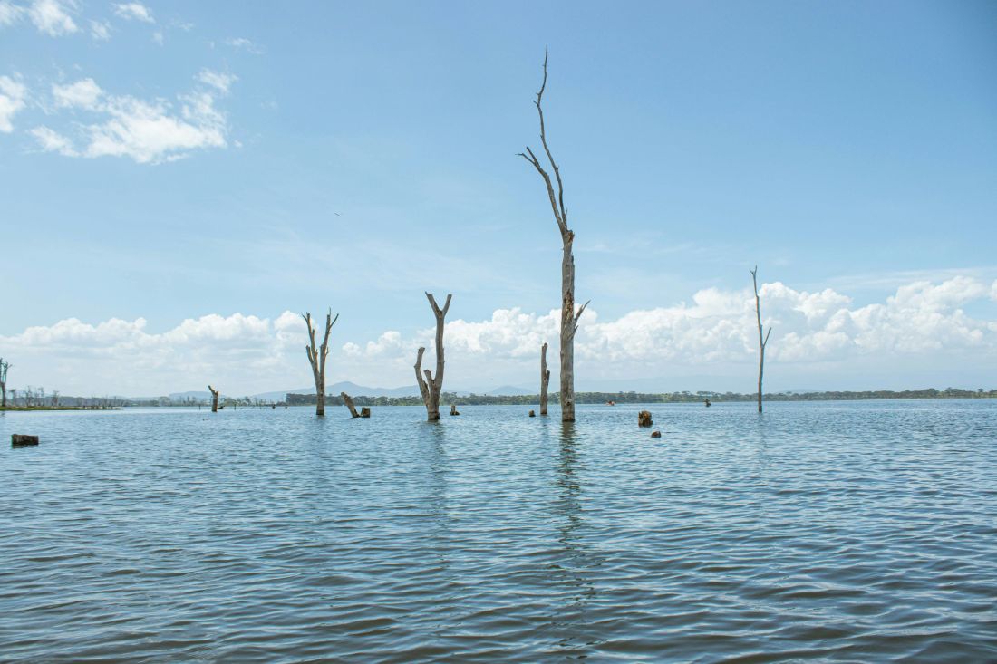 Most Popular Attractions in Lake Naivasha
