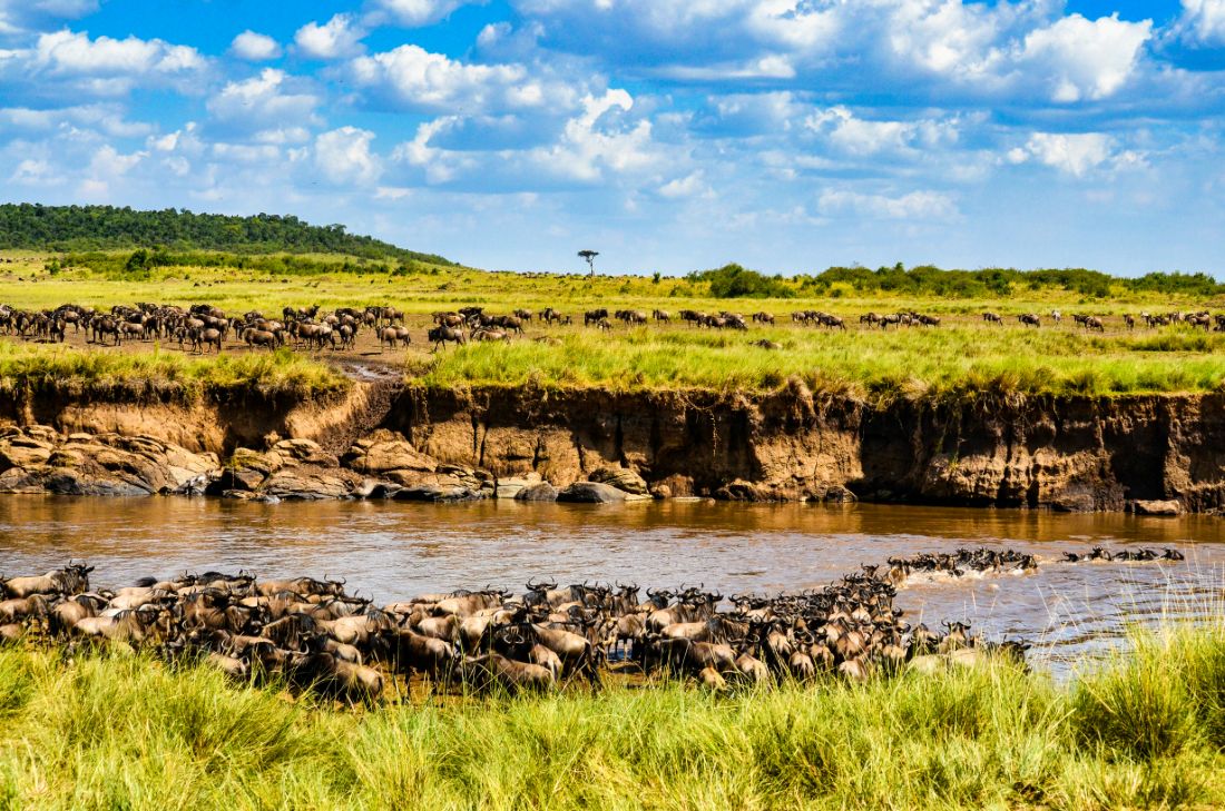 Most Popular Attractions in Maasai Mara