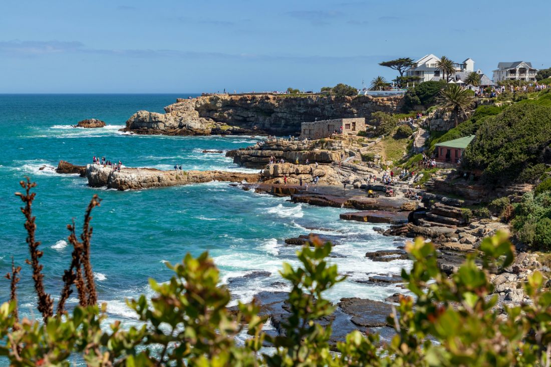 Most Popular Attractions in Hermanus