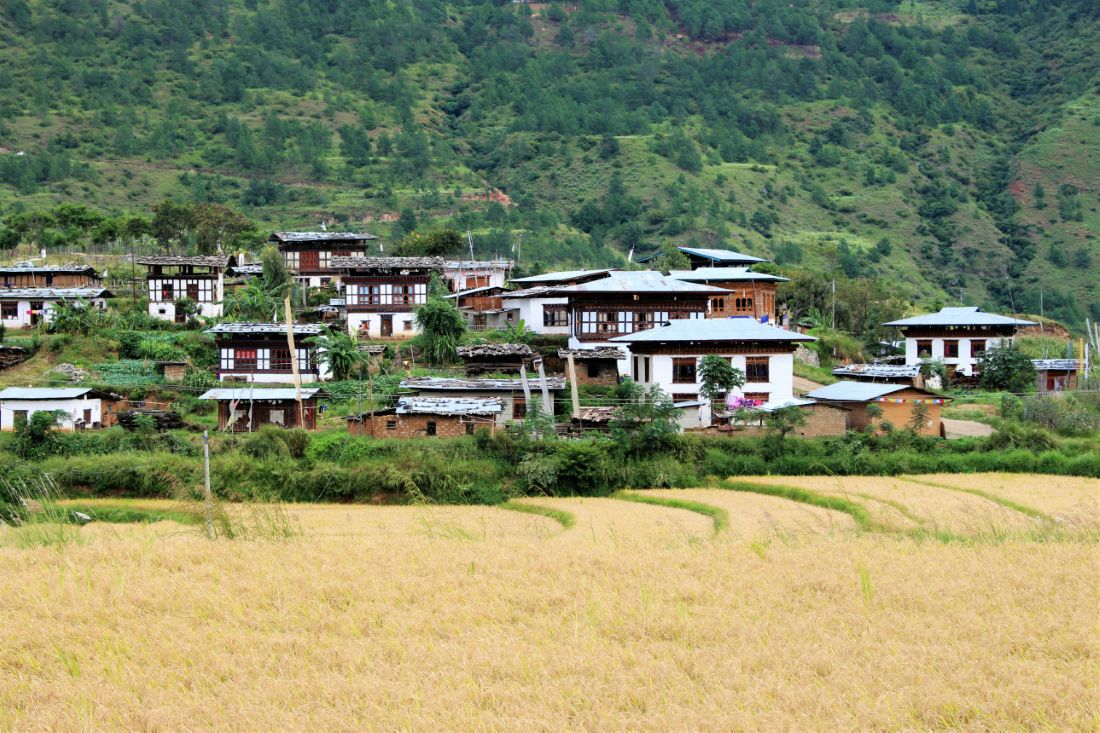 Most Popular Attractions in Punakha