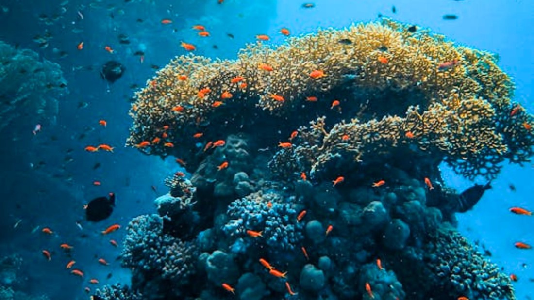 Romantic Spots in Koh Samui