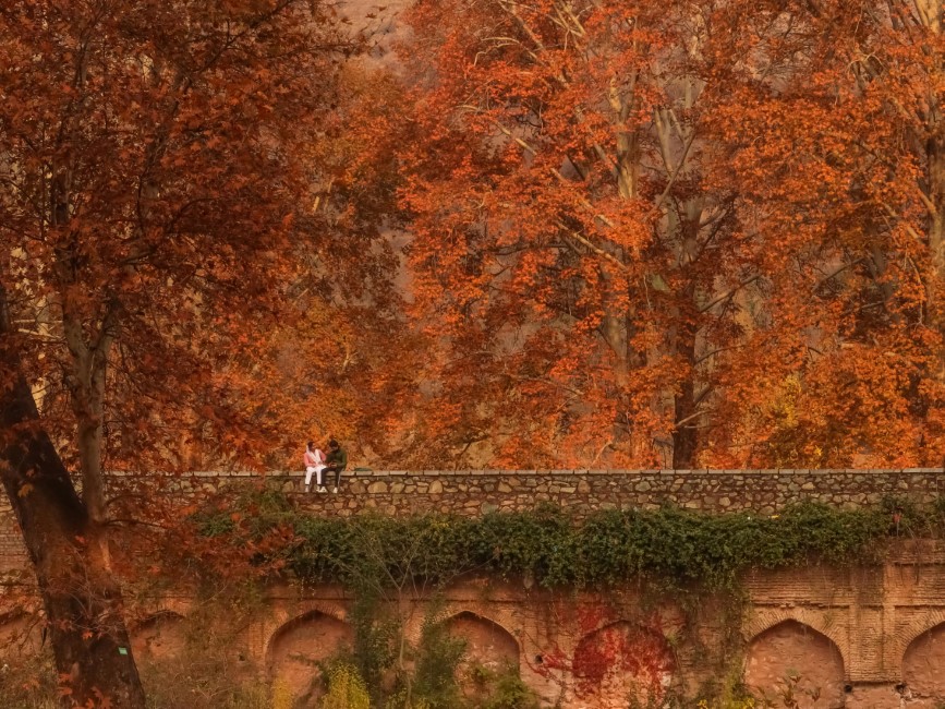 Most Popular Attractions in Srinagar