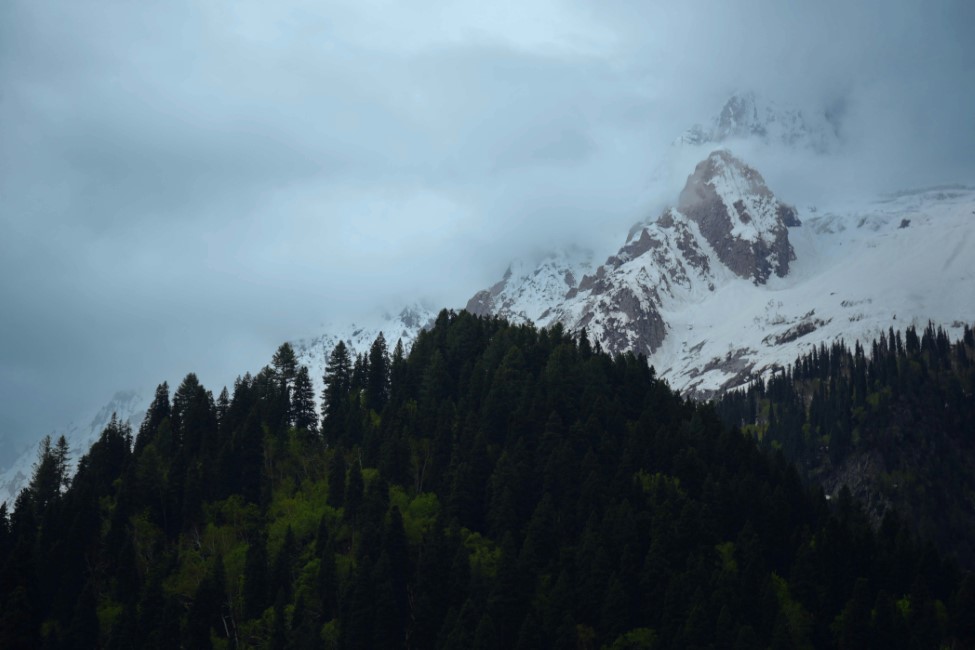 Must-have Experiences in Gulmarg