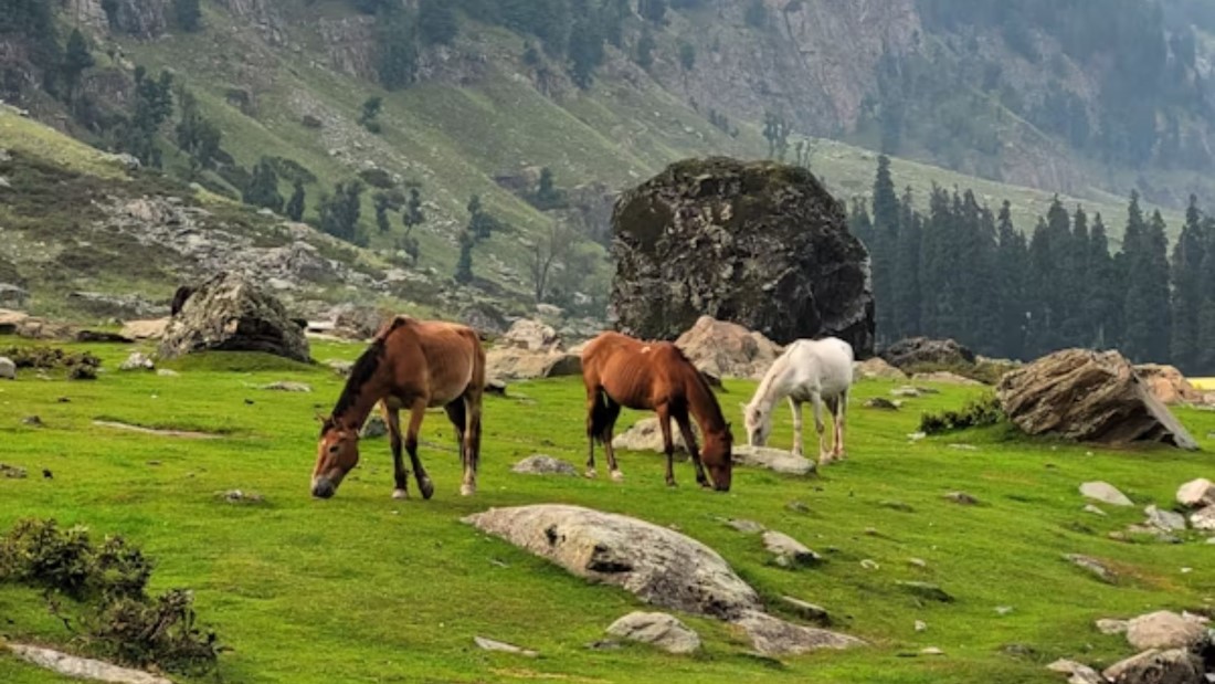 Most Popular Attractions in Gulmarg