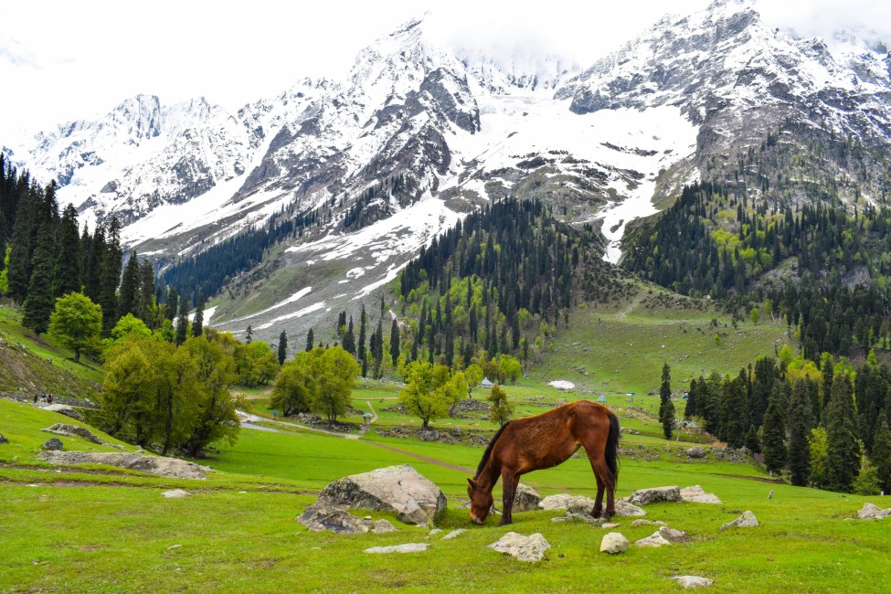 Spiritual Retreats in Sonamarg