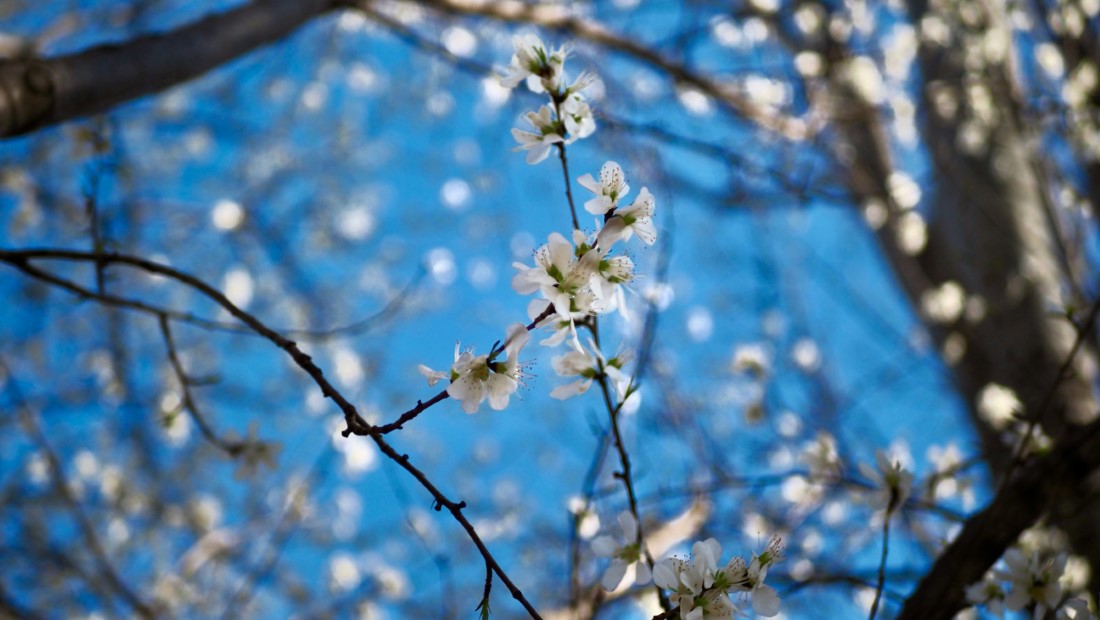 Romantic Spots in Nubra Valley