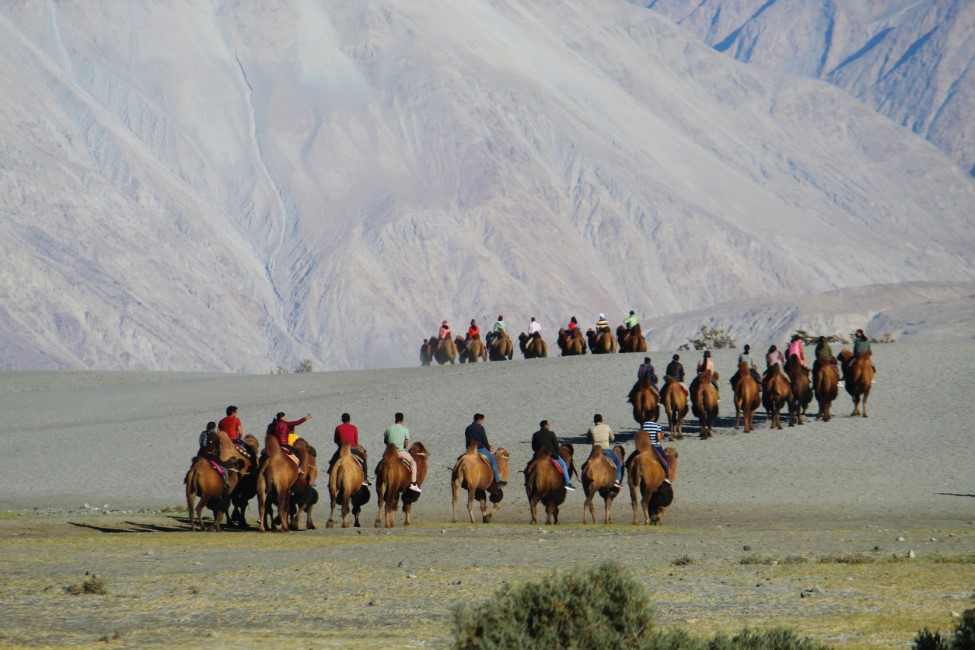 Getting around in Local Transport in Ladakh