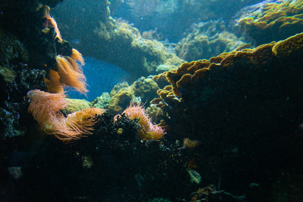 Best Time to Visit Andaman