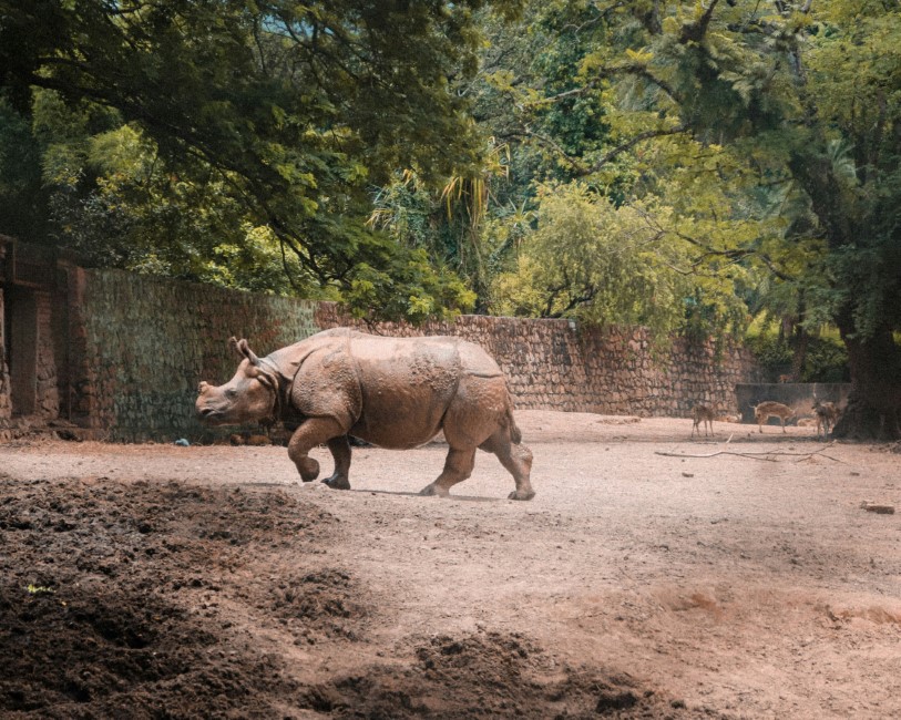 Kid-friendly Spots in Guwahati