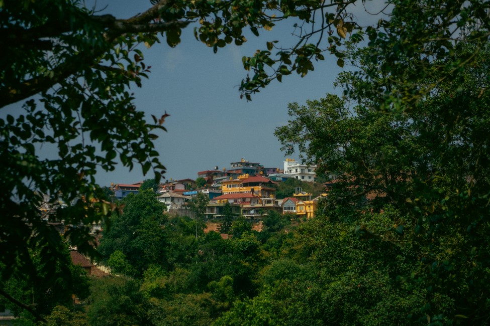 Local Markets & Street Food Spots in Coorg