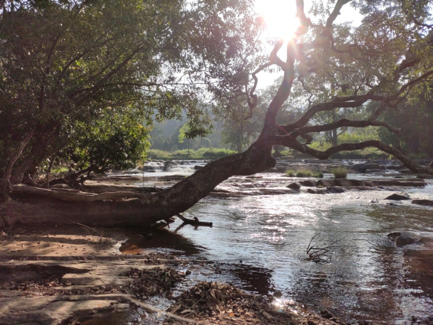 Most Popular Attractions in Coorg