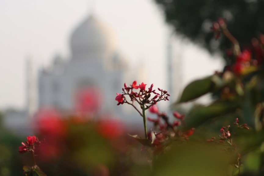 Romantic Spots in Agra