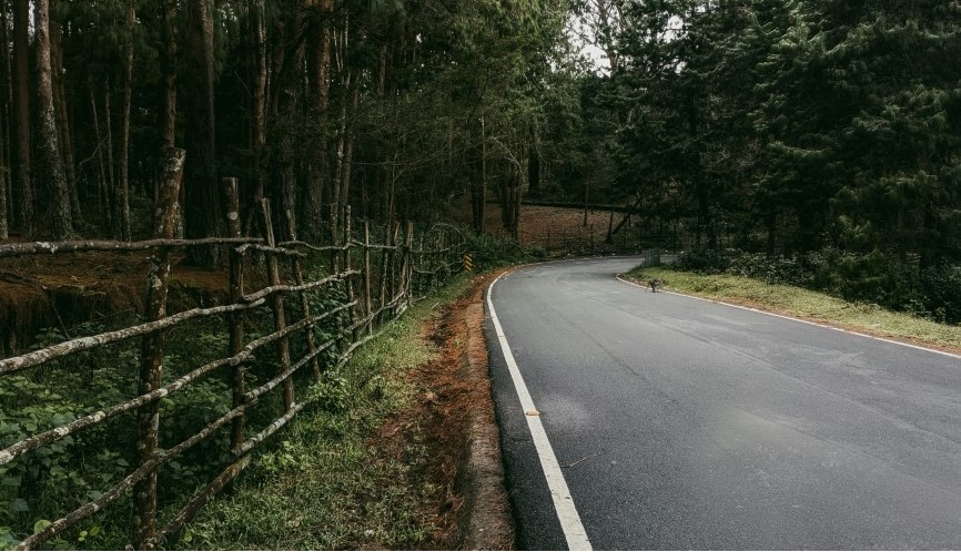 Adventure Activities in Kodaikanal