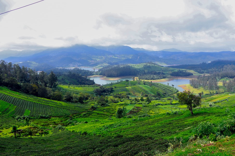 Must-have Experiences in Ooty