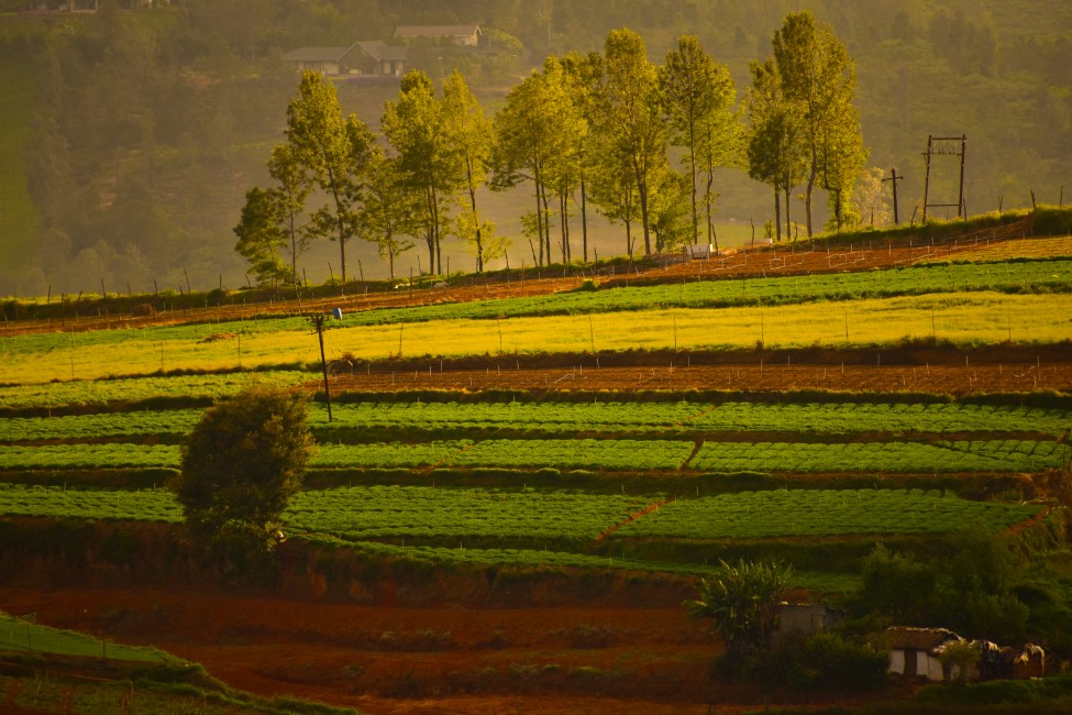 Romantic Spots in Ooty