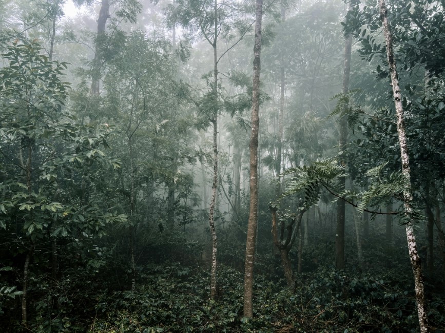 Most Popular Destinations to Visit in Tamilnadu