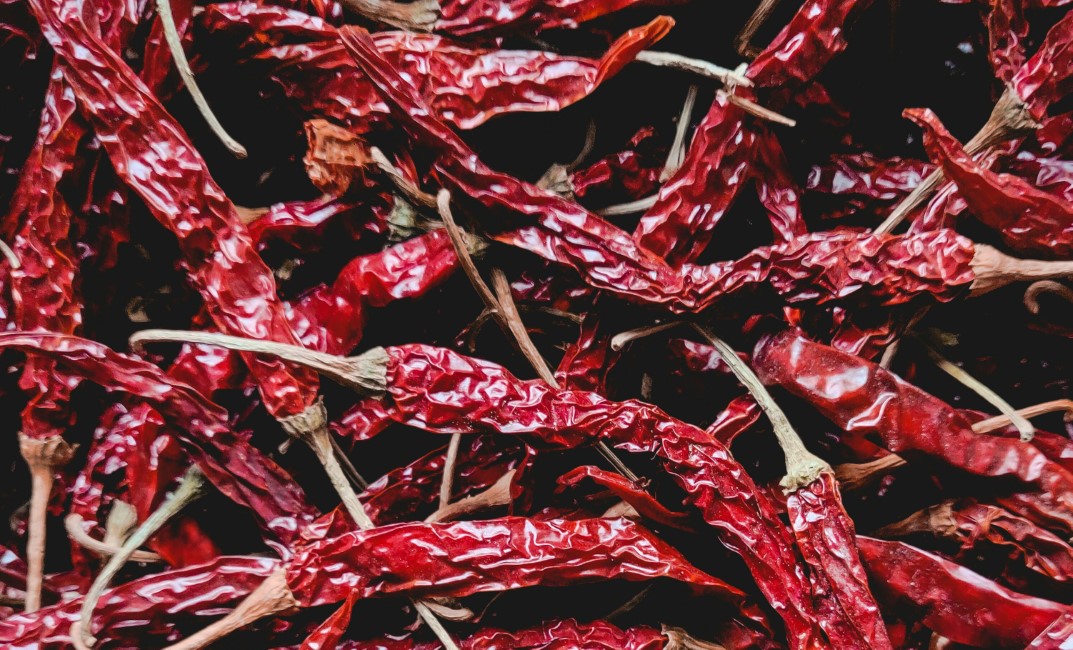 Must try Local Foods and Restaurants in Ajmer–Pushkar