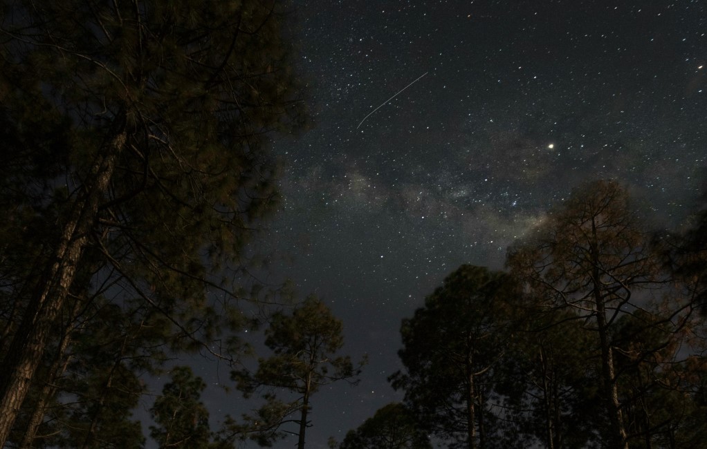 Must-have Experiences in Kausani