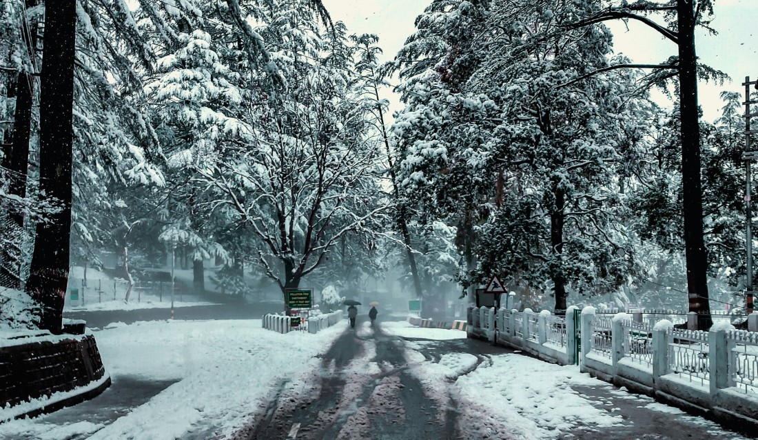 Most Popular Attractions in Ranikhet