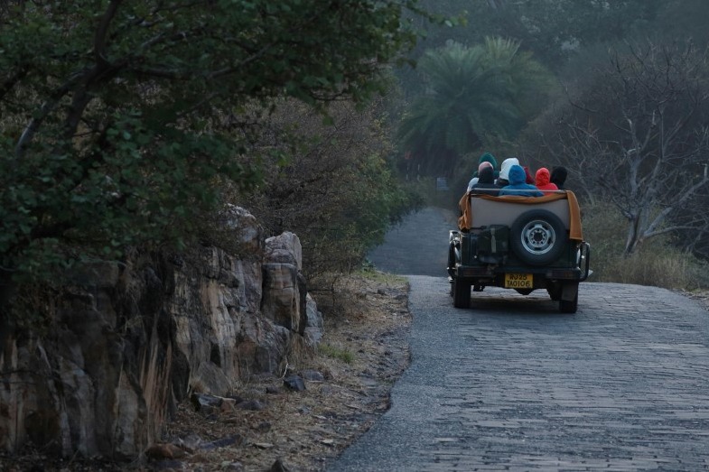 Must-have Experiences in Ranthambore