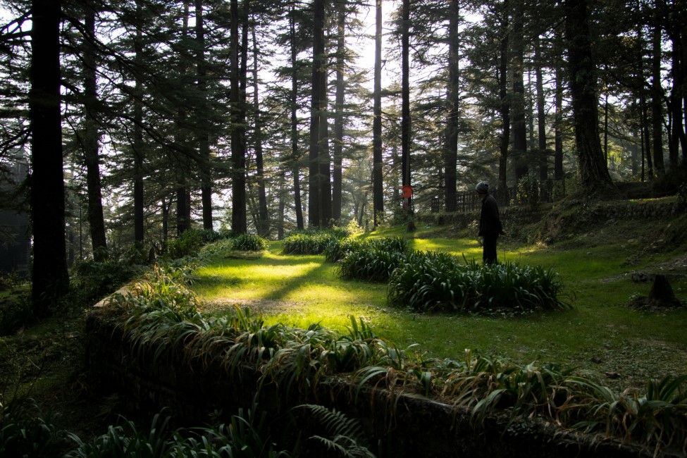 Romantic Spots in Dharamshala