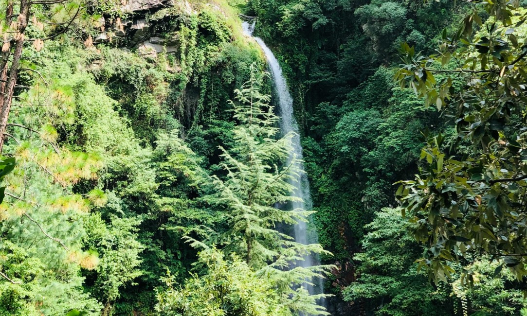 Must try Local Foods and Restaurants in Jibhi