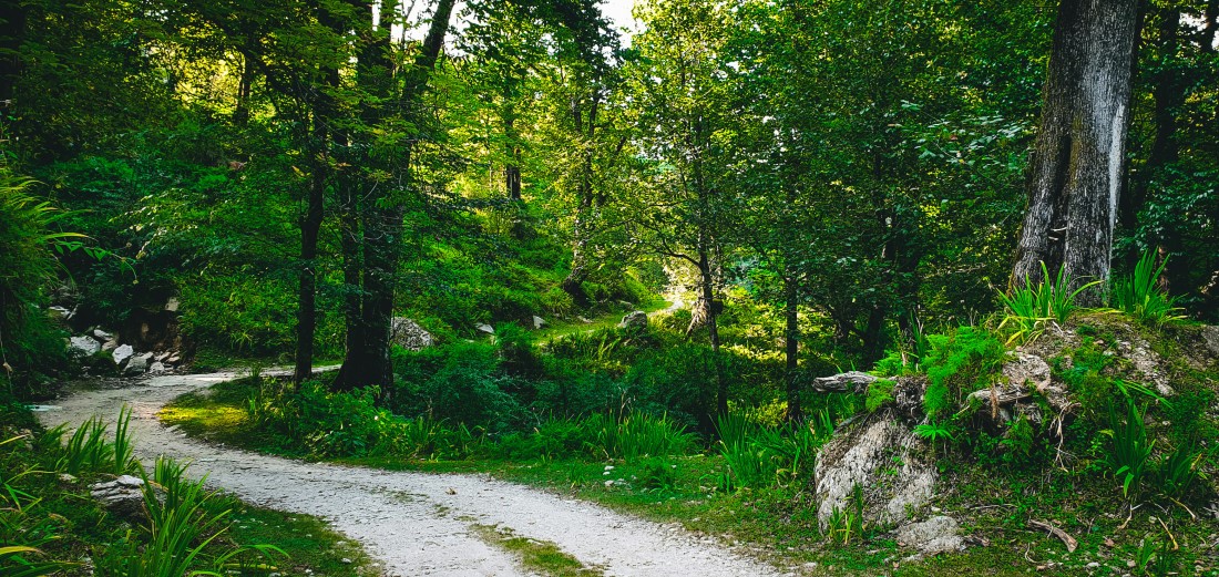 Kid-friendly Spots in Kullu