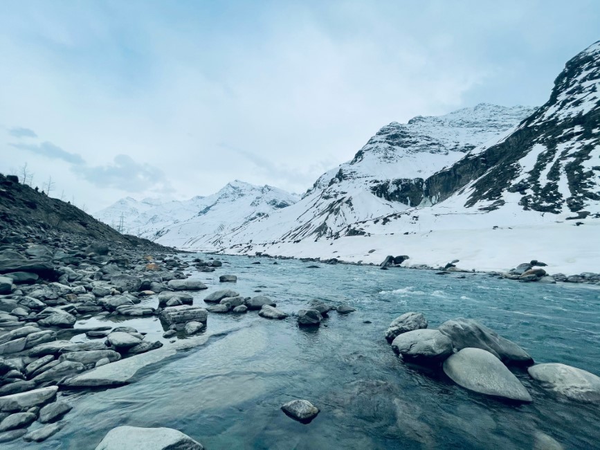 Local Markets & Street Food Spots in Spiti