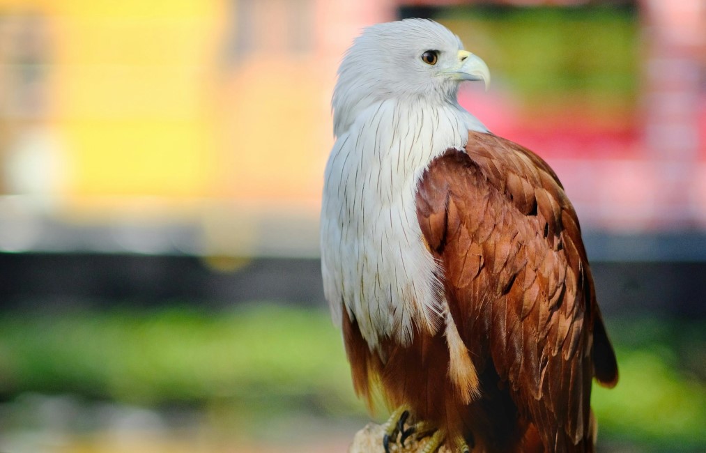 Kid-friendly Spots in Alleppey