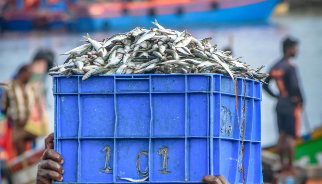 Must try Local Foods and Restaurants in Kannur