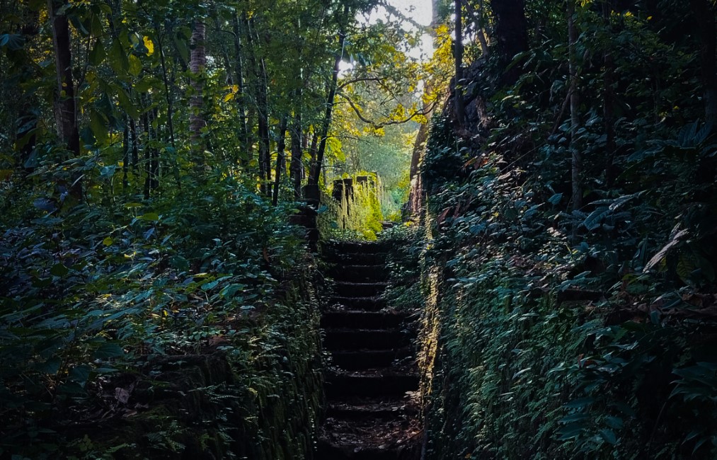 Local Markets & Street Food Spots in Kannur