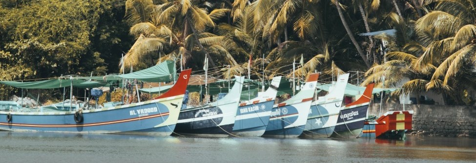 Adventure Activities in Kozhikode