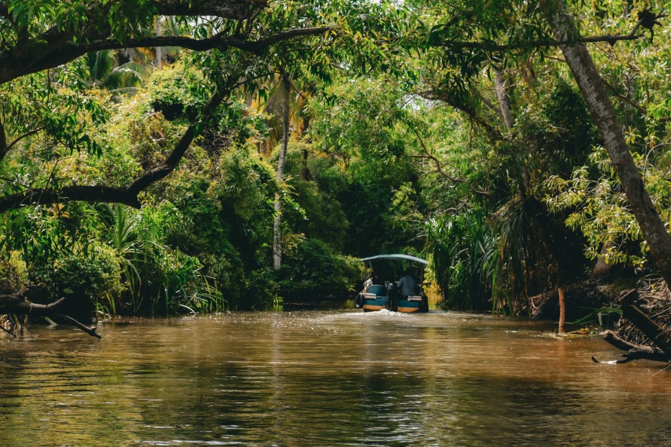 Adventure Activities in Kumarakom