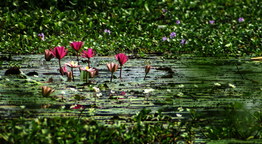 Spiritual Retreats in Kumarakom