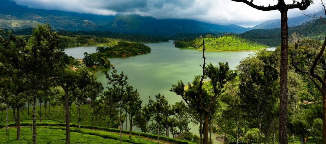 Must-have Experiences in Munnar