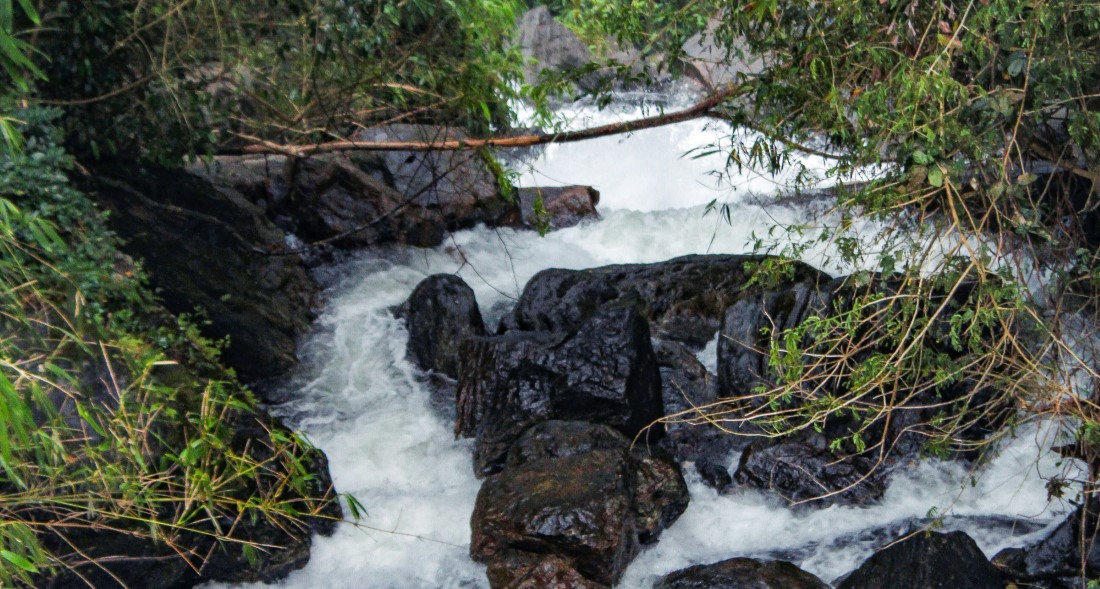 Must try Local Foods and Restaurants in Thekkady