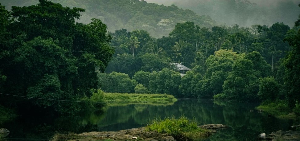 Most Popular Attractions in Thekkady