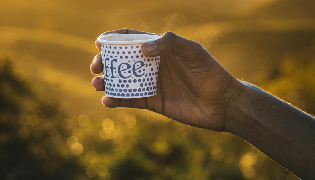 Must try Local Foods and Restaurants in Vagamon