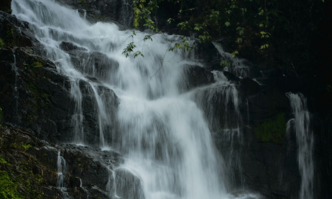 Local Markets & Street Food Spots in Vagamon