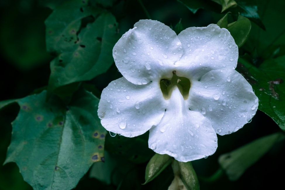 Romantic Spots in Vagamon