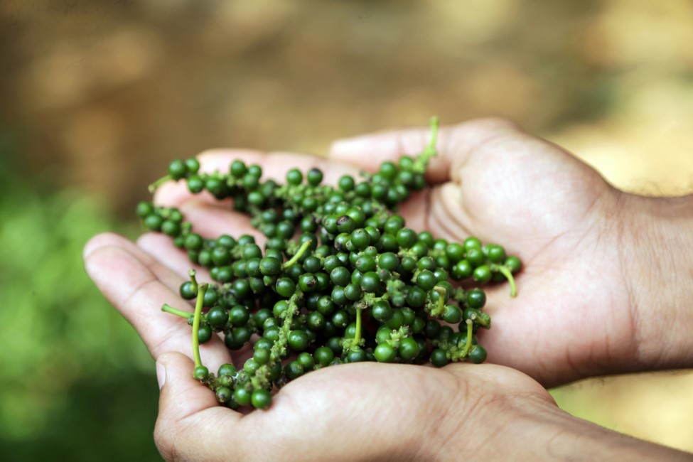 Must try Local Foods and Restaurants in Wayanad