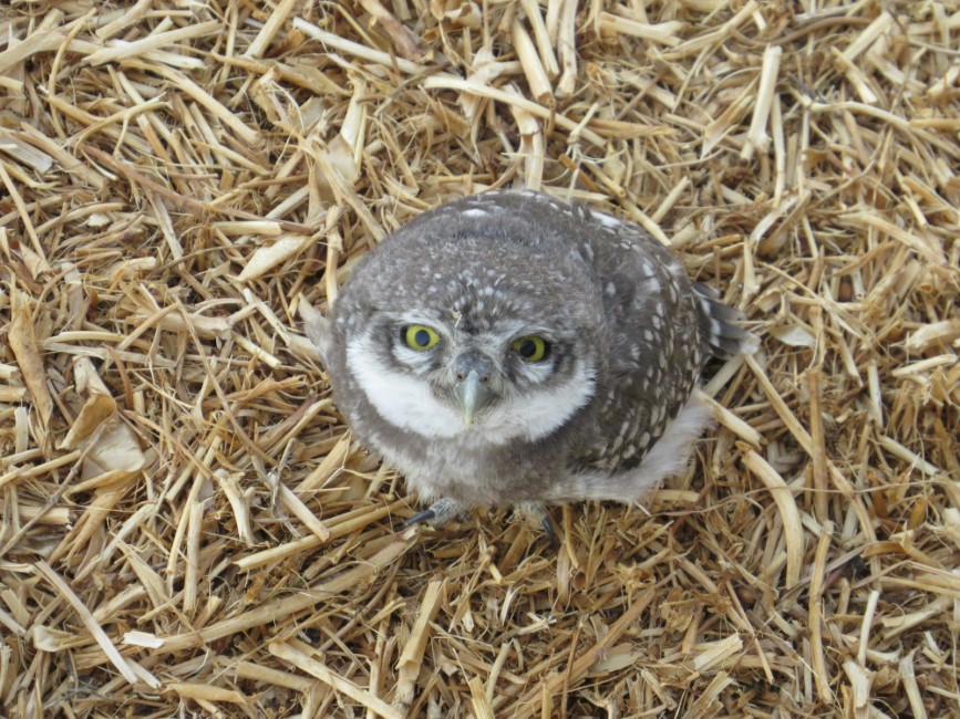 Kid-friendly Spots in Jabalpur