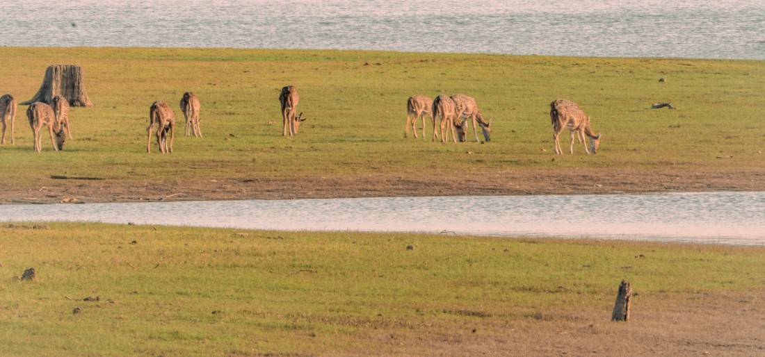 Adventure Activities in Nagarhole