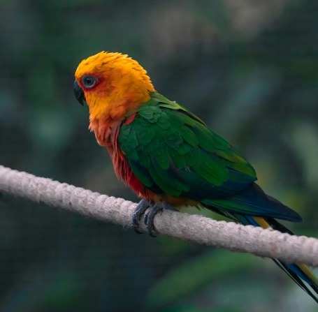 Kid-friendly Spots in Pelling