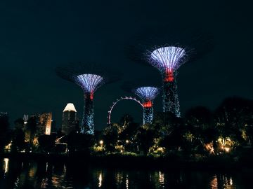 Gardens By The Bay
