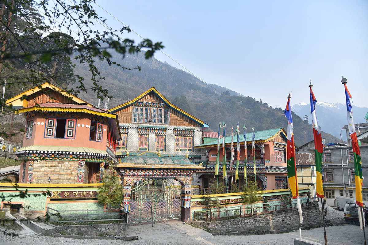 Delight The Fortuna Lachen