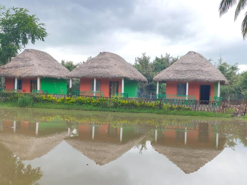Dangamala Nature Camps
