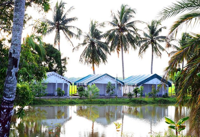 Sand Pebbles Bhitarkanika Jungle Resorts