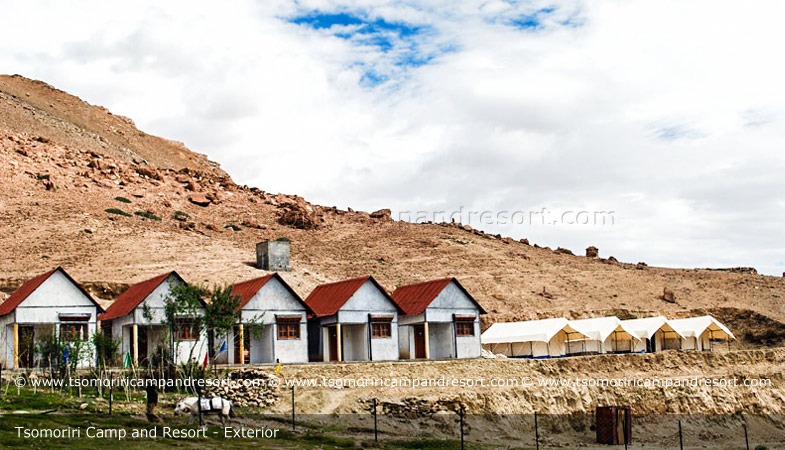 Tsomoriri Camp and Resort